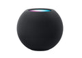 Apple HomePod Mini - Space Gray